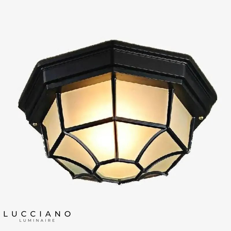 Black outdoor ceiling light with grids