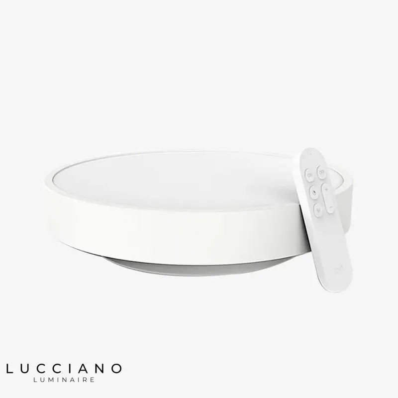 Bluetooth Round LED Ceiling Light Remote Control