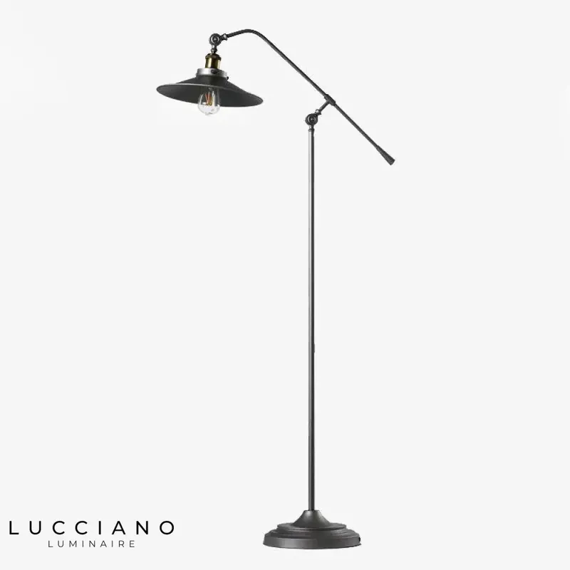 Rustic adjustable iron floor lamp