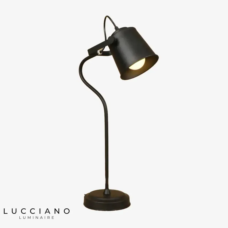 Mirtle adjustable industrial LED lamp