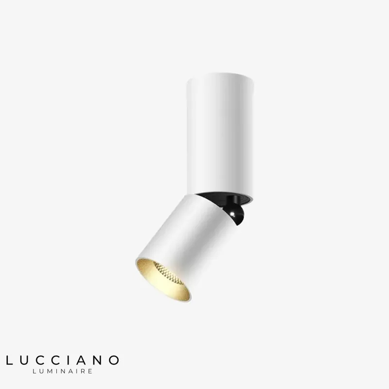 Cheyenne 360° Rotating LED Spotlight