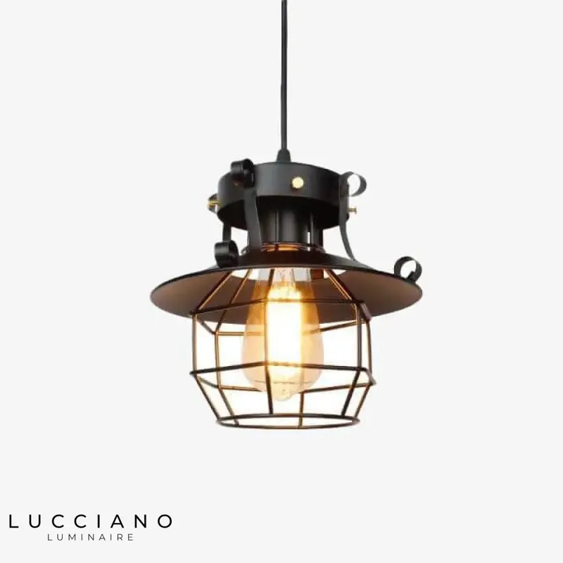 Black metal cage retro LED pendant light