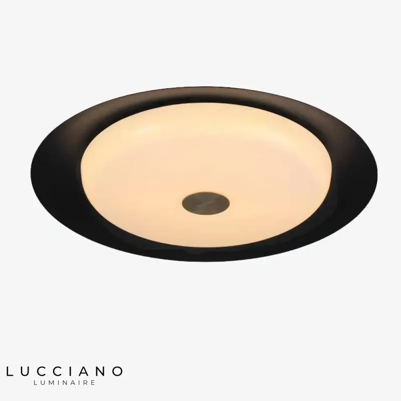 Black LED Ceiling Light Metal Disc