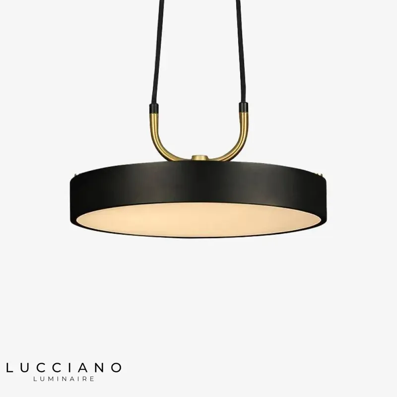 Black metal disc LED pendant light