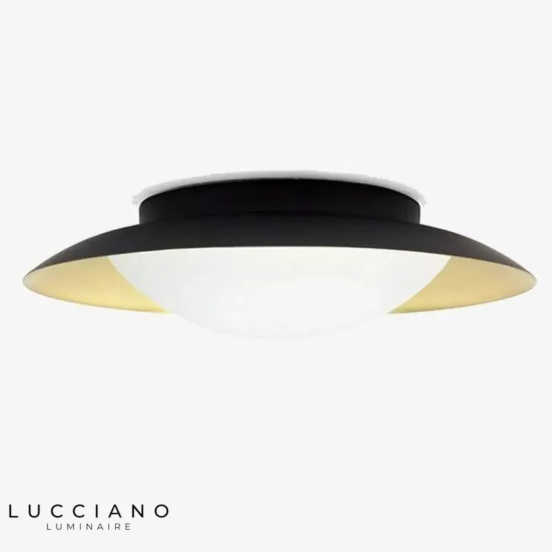 Modern round LED ceiling light