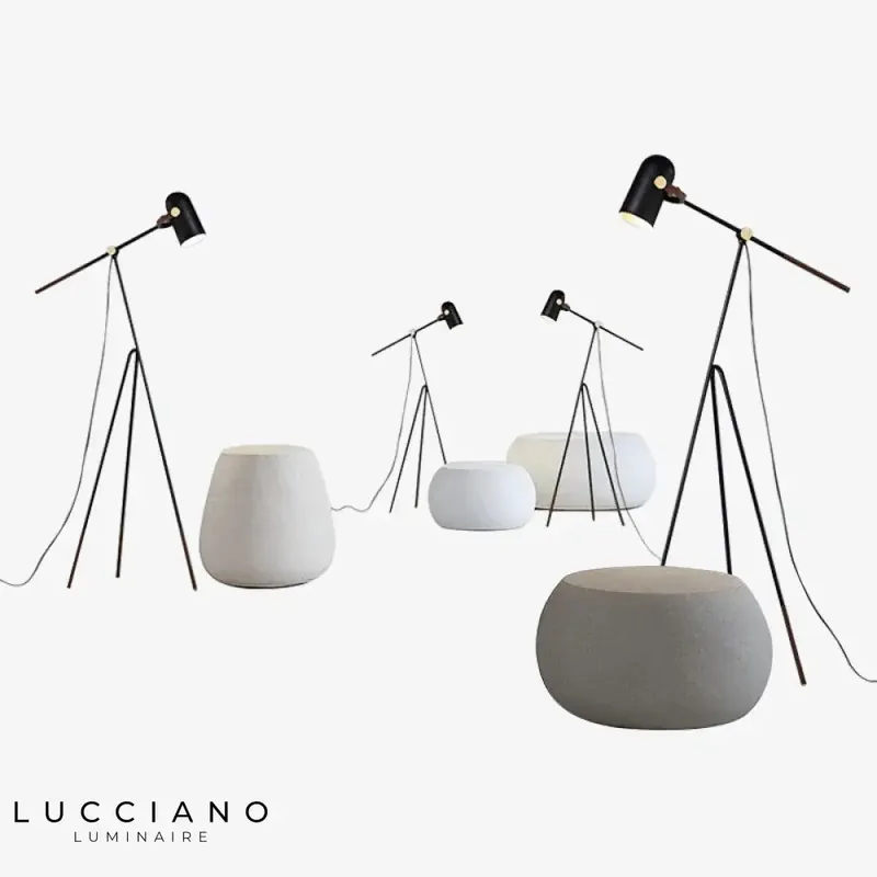 Adjustable Tripod LED Floor Lamp
