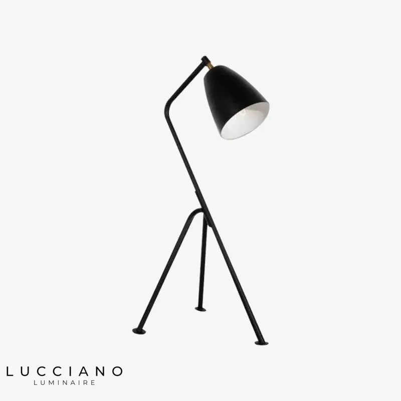 Trigeminal Tripod Design Lamp