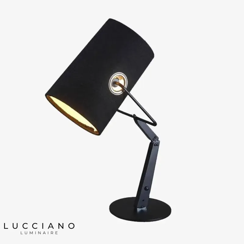 Adjustable designer desk lamp