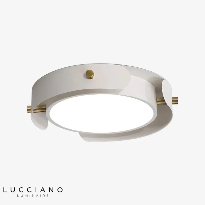 Round metal wood LED ceiling light