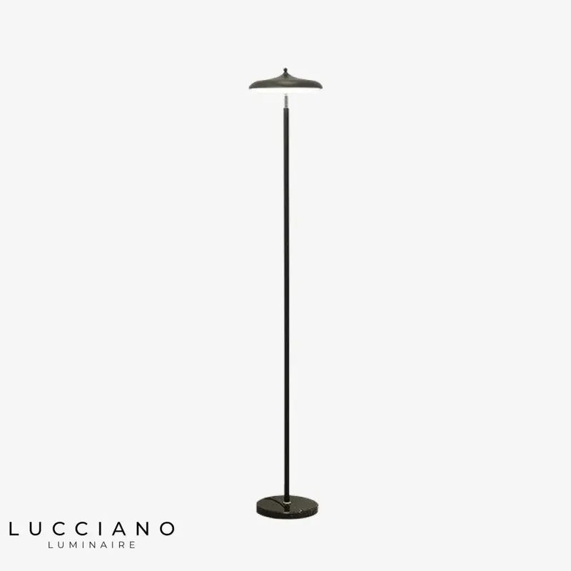 Tall Modern LED Floor Lamp Color