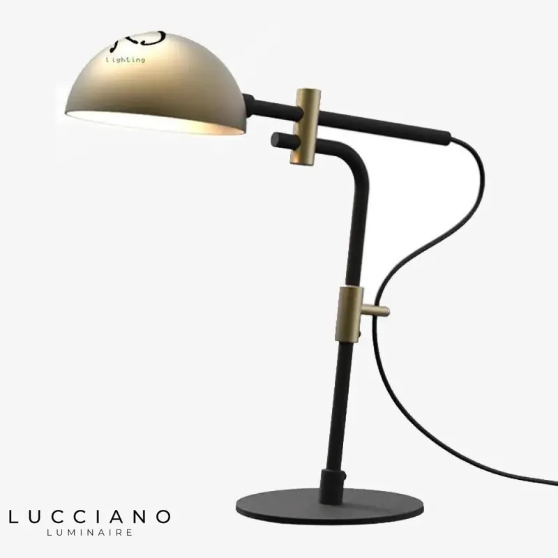 Crazy adjustable desk lamp