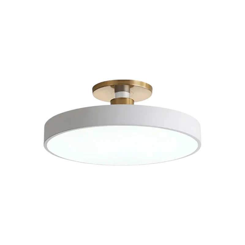 1-Light Modern Round LED Brass Flush Mount