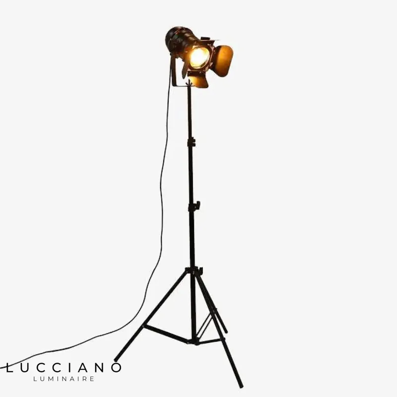 Adjustable cinema-style floor lamp
