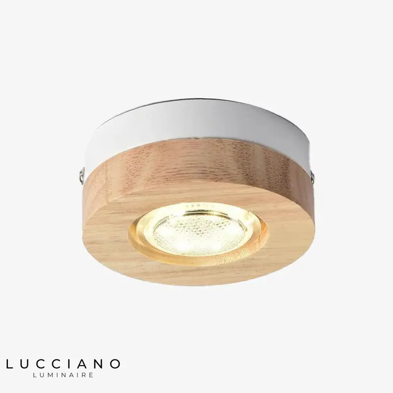 Botimi round wooden LED spot