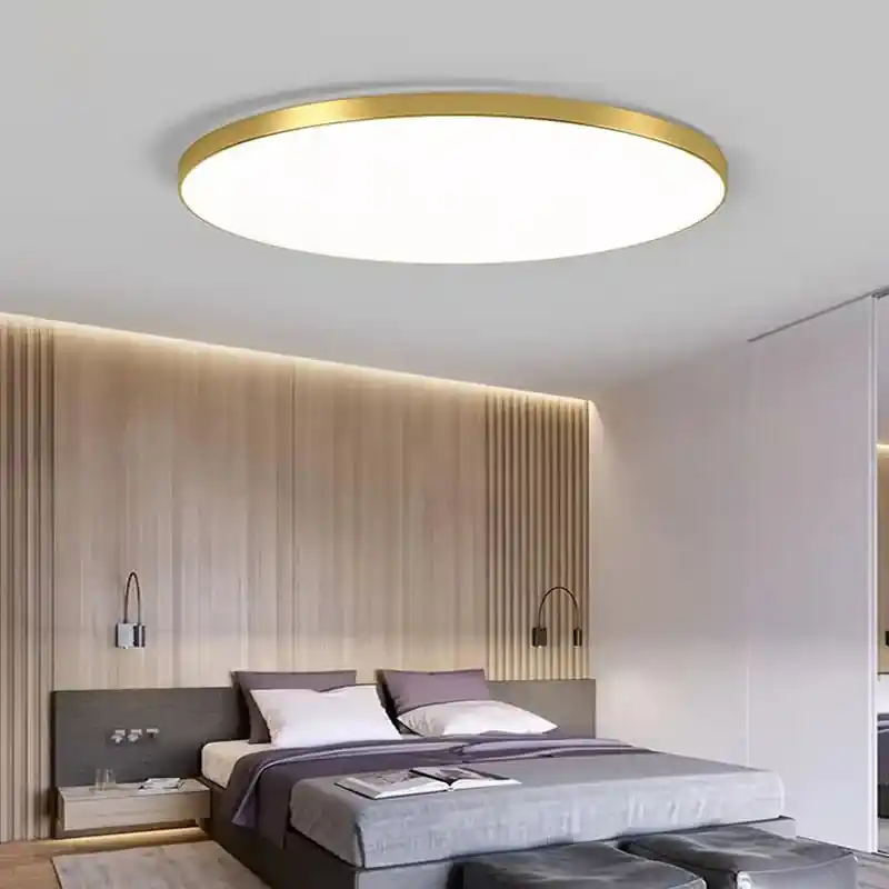 Modern Indoor LED Ceiling Light