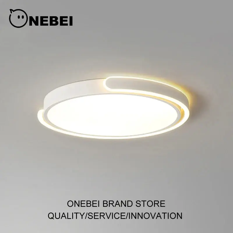 Sleek Contemporary LED Ceiling Light