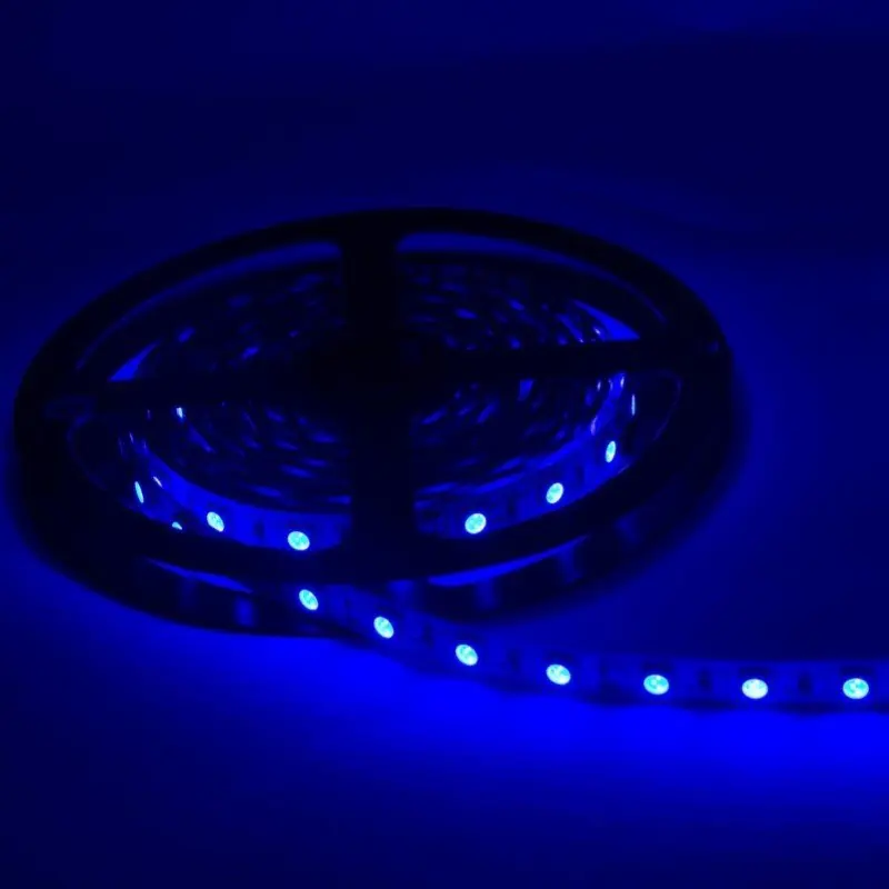 Ruban LED 12V 5M BLEU IP54 SMD 2835 60LED\\/m