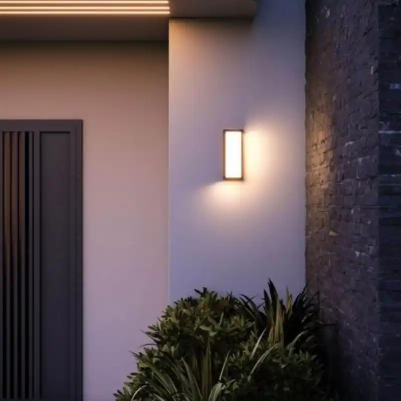 Applique LED Murale Extérieure Noire 24W Température de Lumière Variable - 3000K\\/4000K\\/6000K