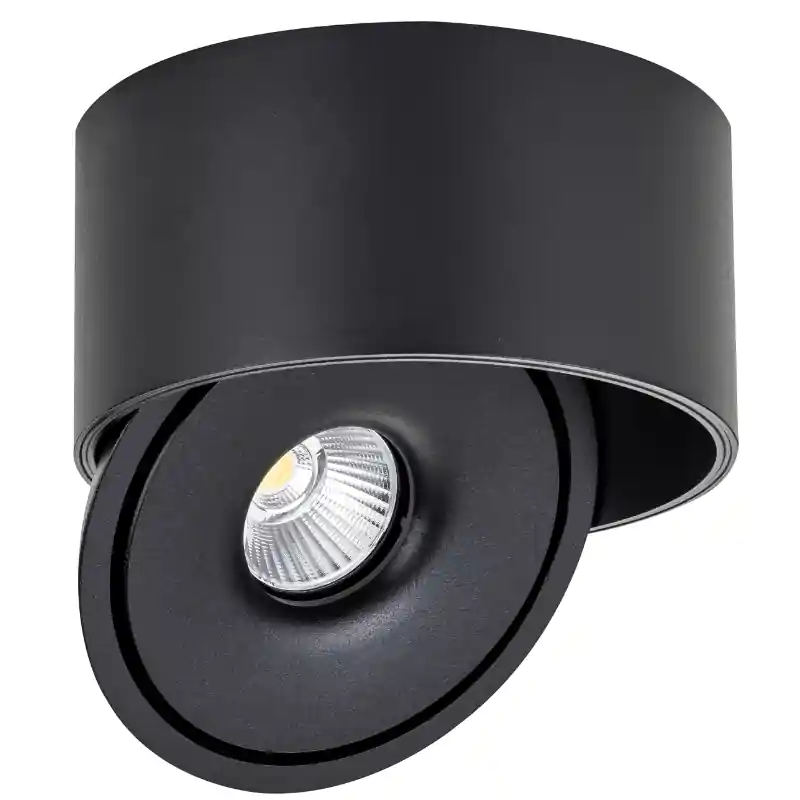 Spot LED en Saillie COB 30W Rond ø176mm Orientable CCT Noir - 3000K\\/4000K\\/6000K