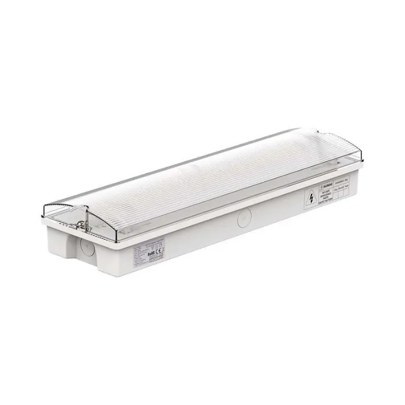 Bloc de Secours BAES LED Bouton Autotest 3W IP65