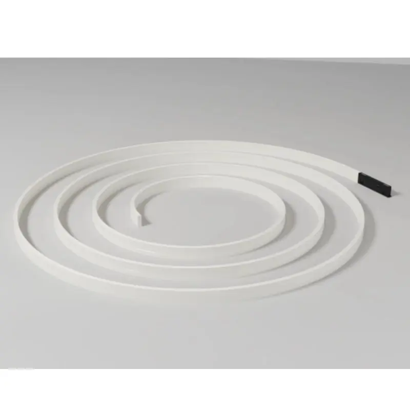 Néon LED Flexible 6W 62cm pour Rail Magnétique M05 48V
