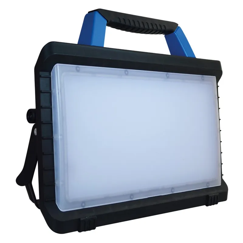 Projecteur LED avec 2 prises de branchement