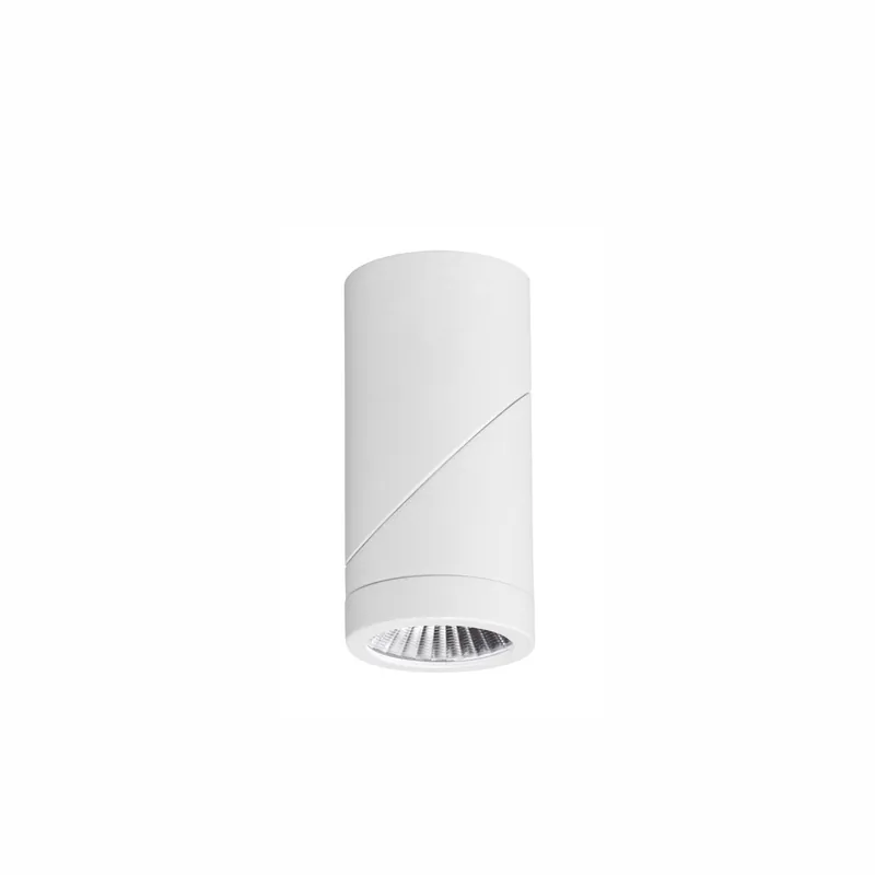 SPOT SAILLIE \\/ APPLIQUE INCLINABLE 8W CCT SWITCH - FAISCEAU REGLABLE