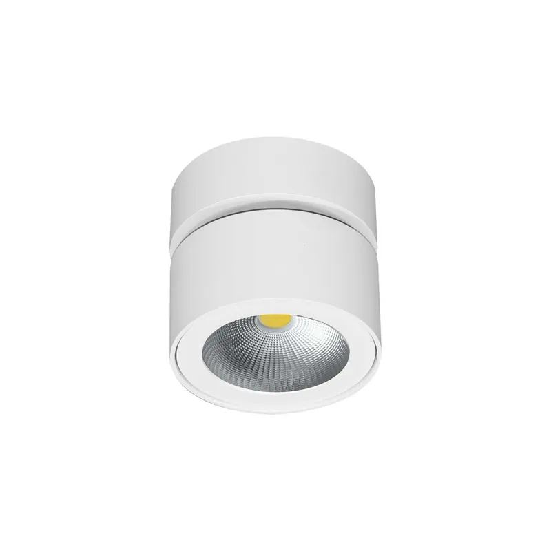 Projecteur saillie CONCORD Dimmable BLANC 14W 40º SWITCH 2700K\\/3200K\\/4000K