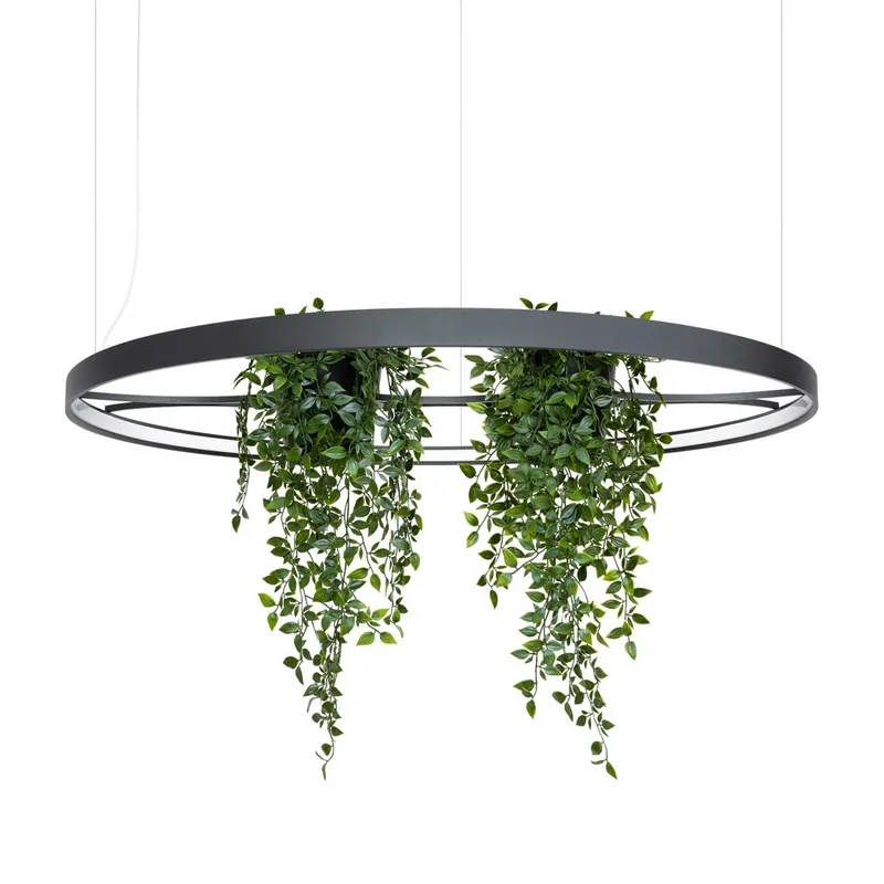 Askela - Lámpara colgante LED en forma de anillo con vegetación para oficinas